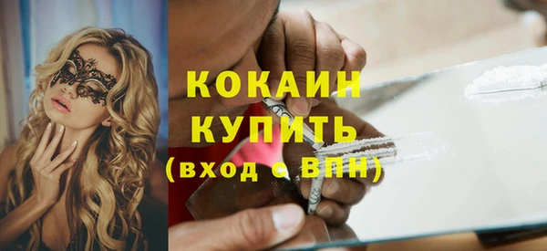 твердый Арсеньев
