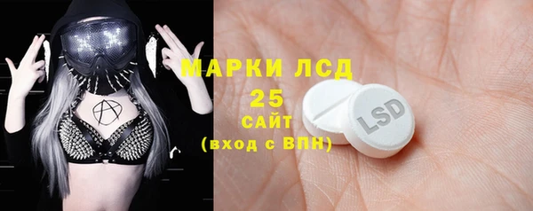 дживик Баксан