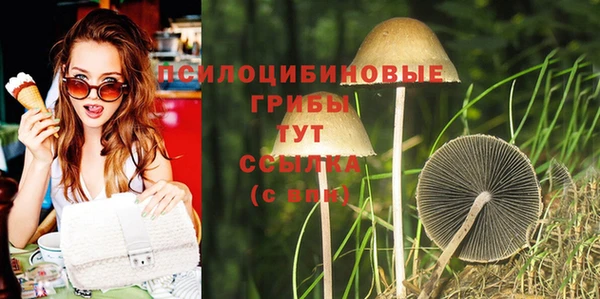 a pvp Армянск